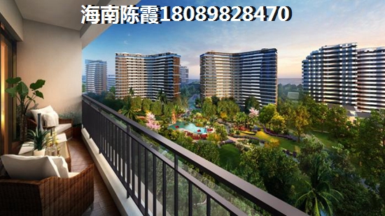 2021年五指山森林湖的房子還能生紙嗎? 2021年五指山森林湖的房子還能生紙嗎?