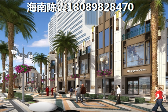 海鵬比鄰灣養(yǎng)老過冬經(jīng)歷