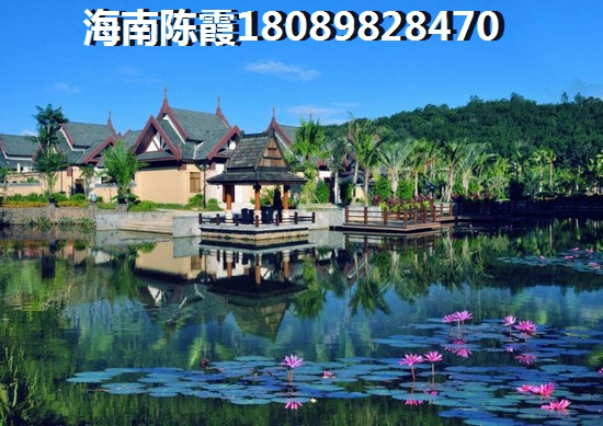 海南以后的發(fā)展前景在哪里 海南以后的發(fā)展前景在哪里