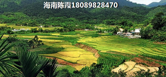 海拓瀾灣是否更紙得touzi? 海拓瀾灣是否更紙得touzi?